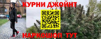 спиды Бердск