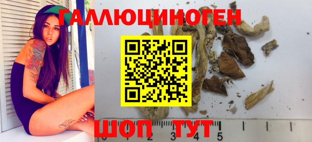 Галлюциногенные грибы Psilocybe Изобильный